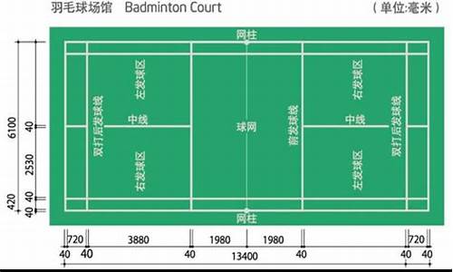 羽毛球场地尺寸标准尺寸是多少啊,羽毛球场地尺寸标准尺寸是多少